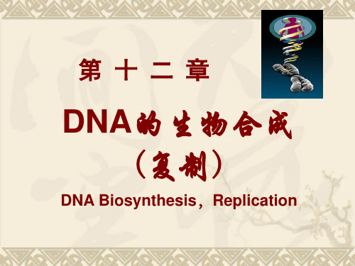 DNA的生物合成