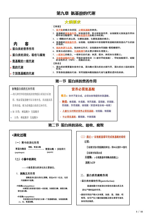 生物化学与分子生物学—氨基酸的代谢