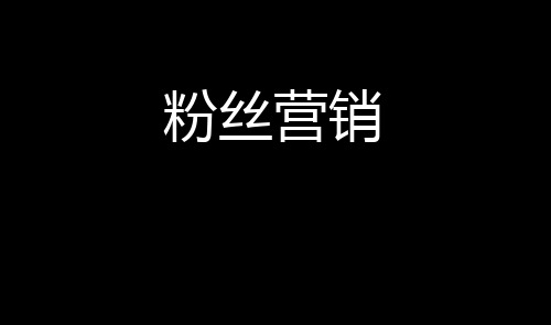 粉丝营销策略小米粉丝营销模式研究