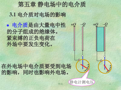 电介质1精心整理.ppt