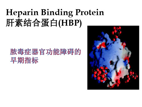 肝素结合蛋白HBP——POCT