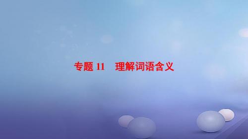 湖北省宜昌市2017届中考语文总复习：专题11-理解词语含义ppt课件(含答案)