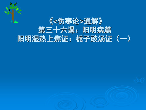 《伤寒论通解》三十六课阳明病篇-阳明湿热上焦证栀子豉汤证一ppt课件