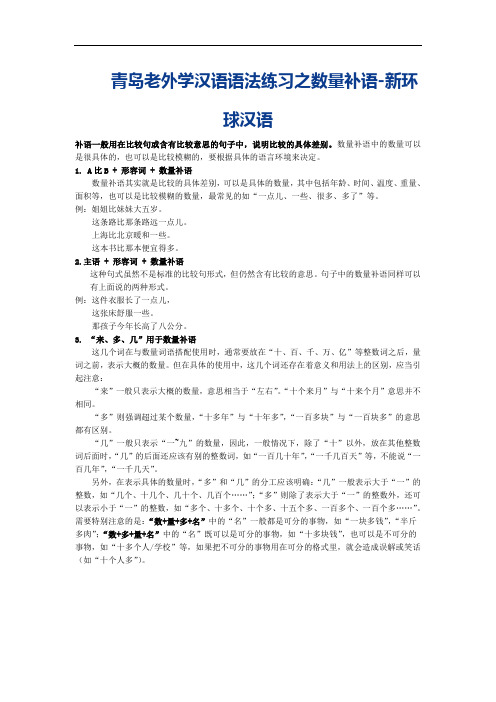 青岛老外学汉语语法练习之数量补语-新环球汉语