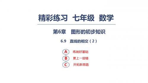 优选教育浙教版七年级数学上册练习课件：第6章 图形的初步知识  6.9 直线的相交(2).ppt