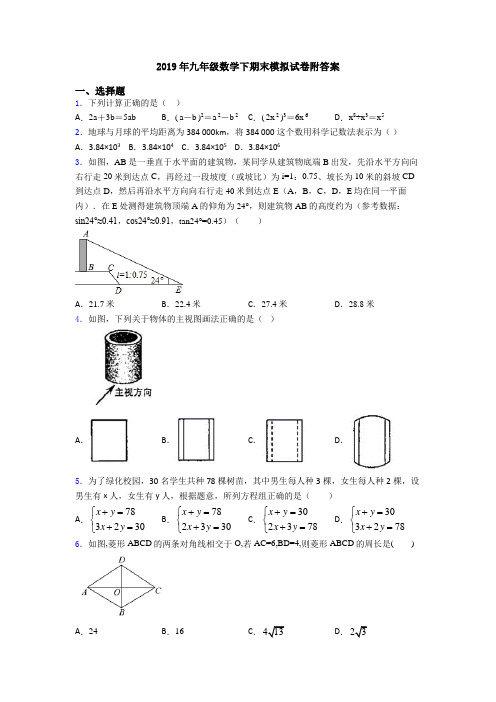 2019年九年级数学下期末模拟试卷附答案