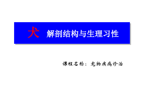 犬解剖结构与生理习性