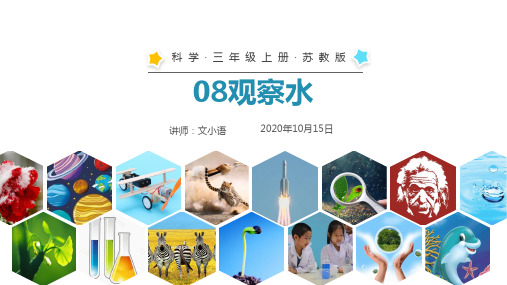 苏教版科学三年级上册08观察水PPT课件(附教案)