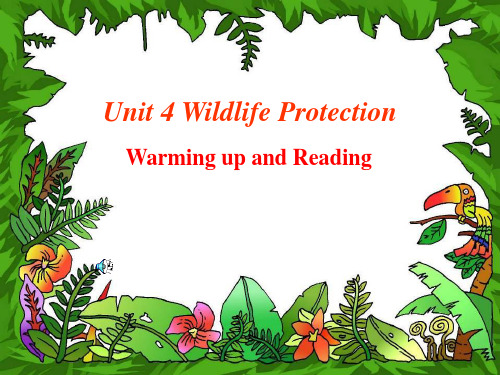 新人教必修二 Unit 4 WIldlife protection-Reading