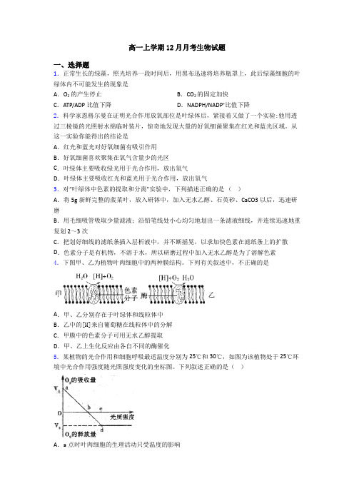 高一上学期12月月考生物试题