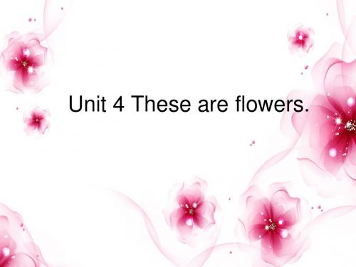 秋湘少版英语四上《UnitThese are flowers》ppt课件