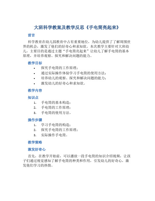 大班科学教案及教学反思《手电筒亮起来》