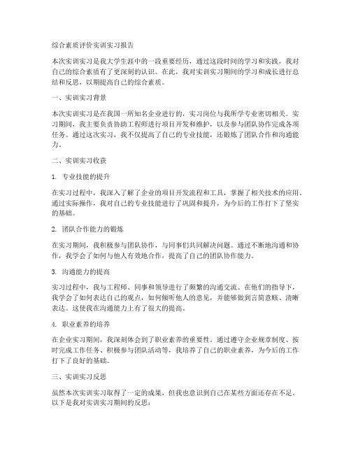 综合素质评价实训实习报告