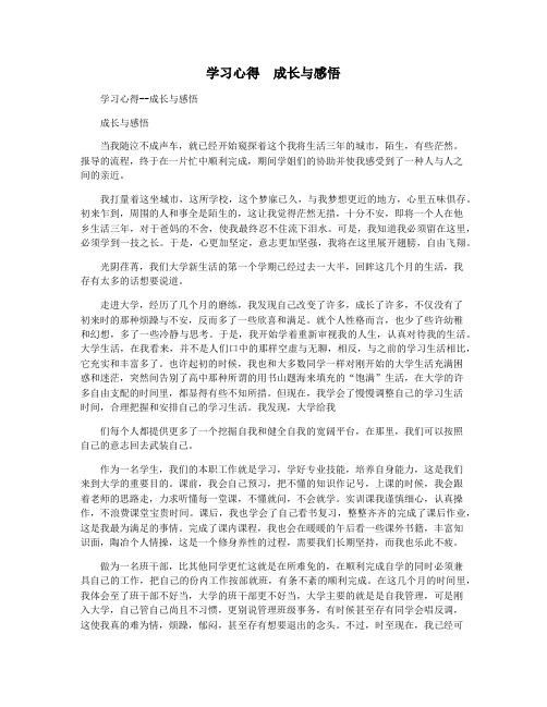 学习心得  成长与感悟