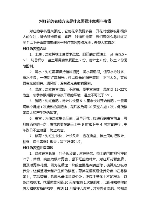 对红花的养殖方法是什么需要注意哪些事情