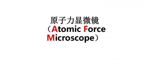 原子力显微镜(Atomic Force Microscope)