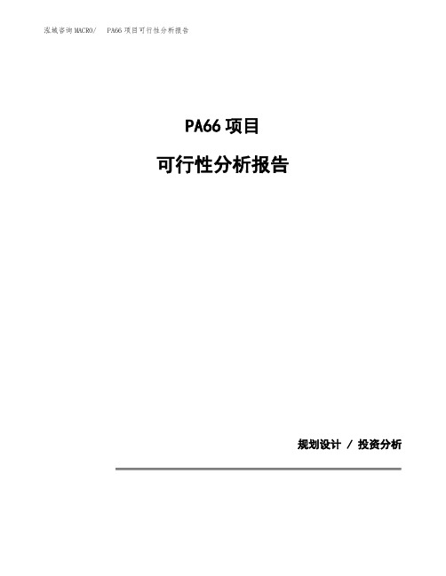 PA66项目可行性分析报告(模板参考范文)