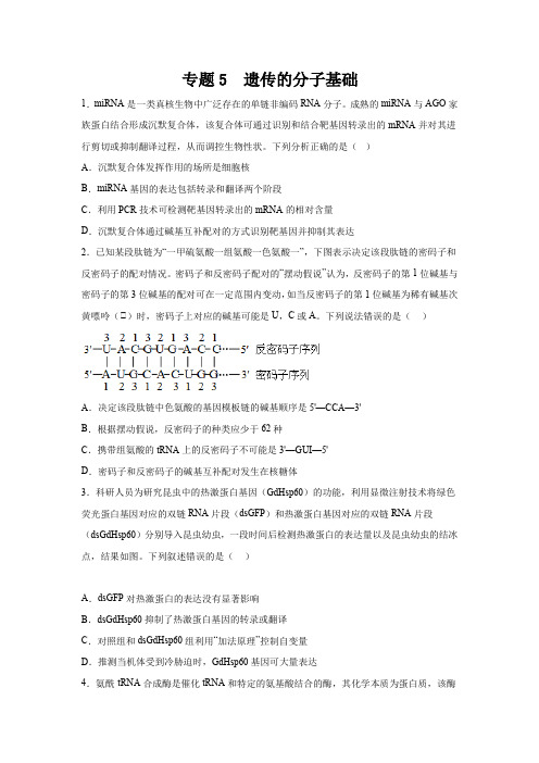 高考生物第一轮复习知识点挖空专项练习 专题5遗传的分子基础(原卷版+答案解析)