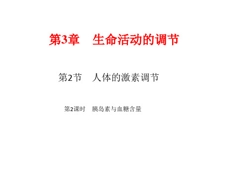 新浙教版科学八年级上册课件：胰岛素与血糖含量