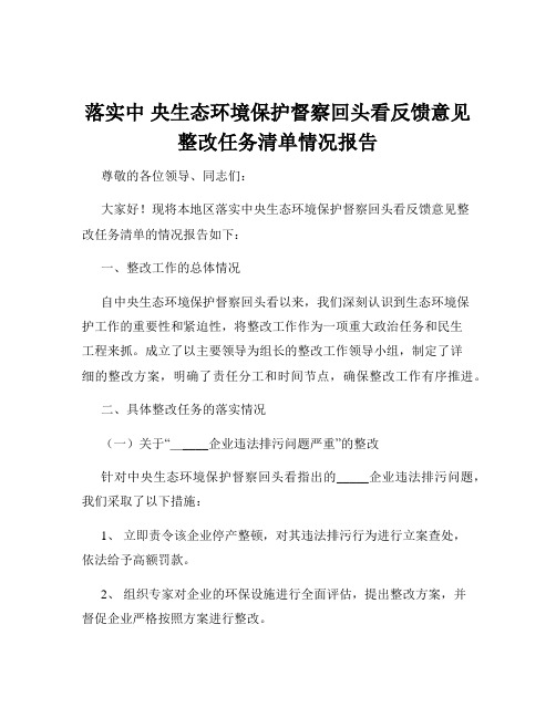 落实中 央生态环境保护督察回头看反馈意见整改任务清单情况报告