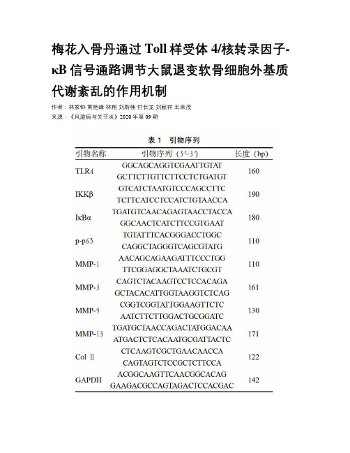 梅花入骨丹通过Toll样受体4核转录因子-κB信号通路调节大鼠退变软骨