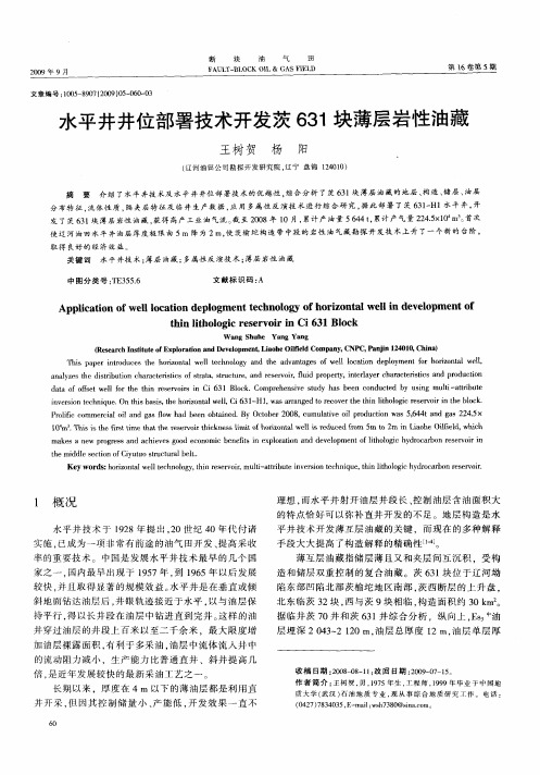 水平井井位部署技术开发茨631块薄层岩性油藏