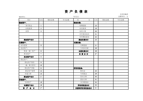 农业合作社资产负债表