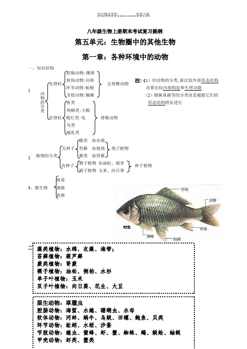 八年级上册生物复习提纲(完整整理)