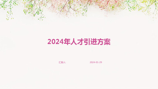 2024年人才引进方案