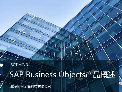 01_什么是SAP Business Objects