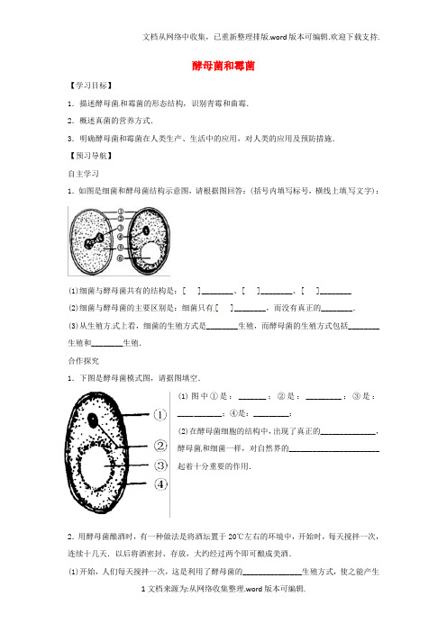 八年级生物上册5_2_1酵母菌和霉菌导学案答案不全新版冀教版