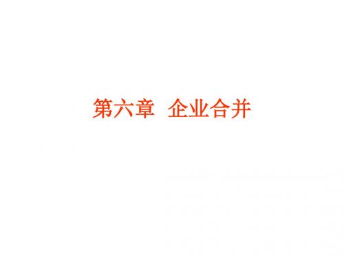 第六章 企业合并