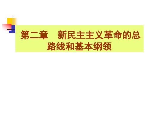 新民主主义革命的总路线和基本纲领