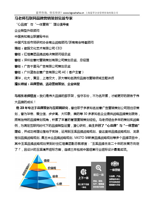 互联网品牌营销策划实战专家马老师简介