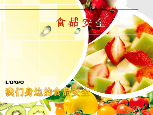 食品安全概述(PPT39页).pptx