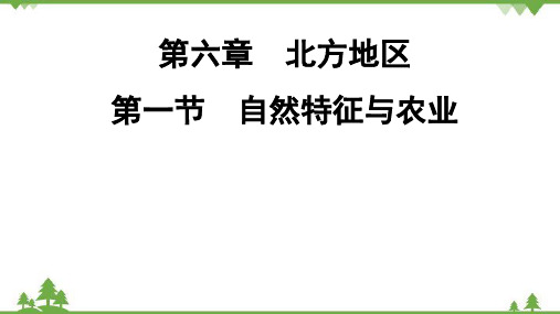 人教版地理八年级下册第6章  第1节  自然特征与农业习题课件(共12张PPT)