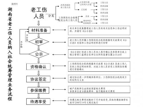 湖南省省本级老工伤人员纳入社会统筹管理业务流程图