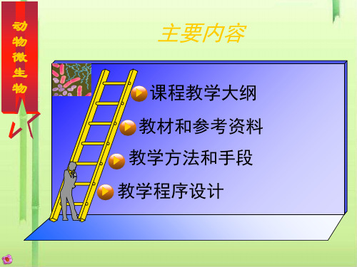 《动物微生物》说课