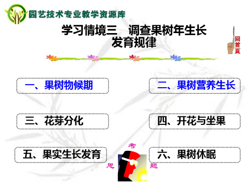 果树物候期与营养生长调查(精)