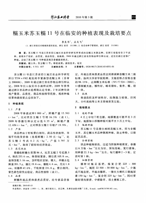 糯玉米苏玉糯11号在临安的种植表现及栽培要点