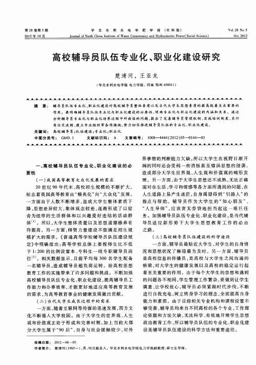 高校辅导员队伍专业化、职业化建设研究