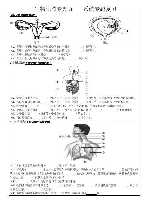 2023年生物中考二轮复习识图专题3——系统图