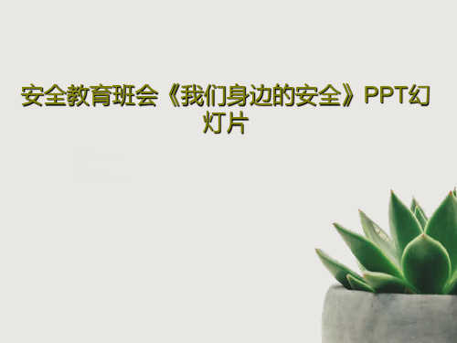 安全教育班会《我们身边的安全》PPT幻灯片PPT共66页