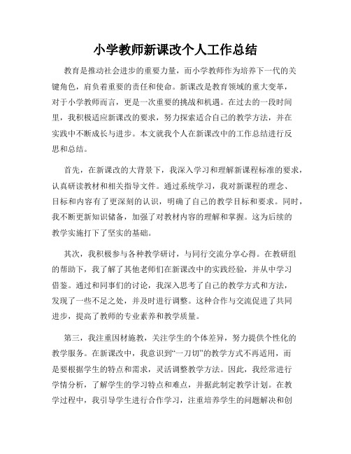 小学教师新课改个人工作总结