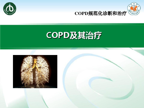 COPD稳定期治疗