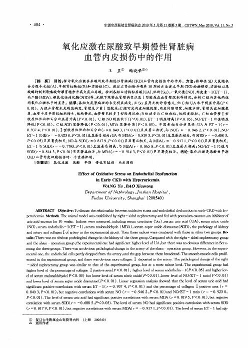 氧化应激在尿酸致早期慢性肾脏病血管内皮损伤中的作用