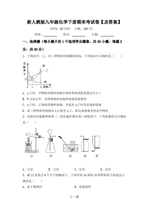 新人教版九年级化学下册期末考试卷【及答案】