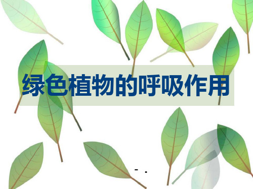 《绿色植物的呼吸作用》PPT优秀课件