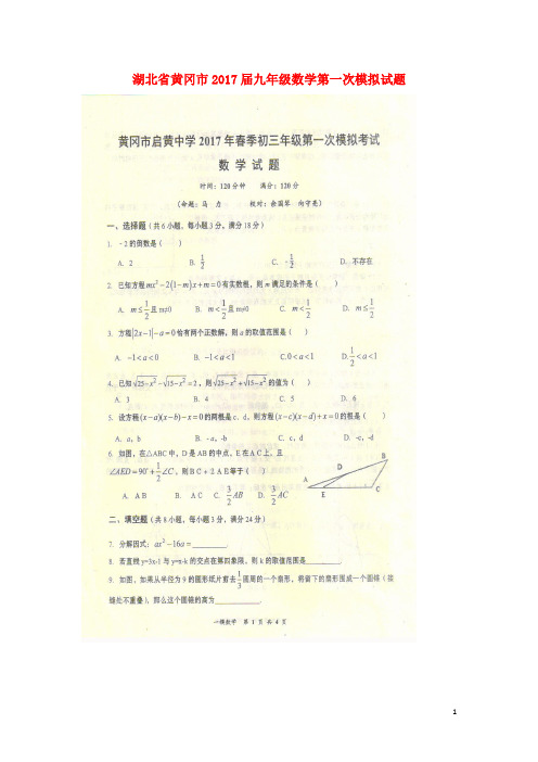 湖北省黄冈市九年级数学第一次模拟试题(扫描版)