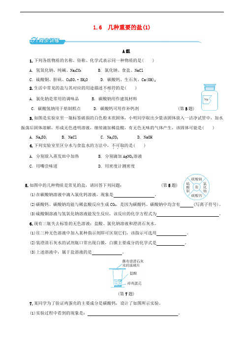 九年级科学上册 1.6 几种重要的盐(1)同步训练 (新版)